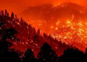 “Neraka” di Los Angeles: Pemadam Kebakaran Mulai Mengendalikan Api