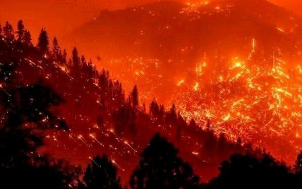 “Neraka” di Los Angeles: Pemadam Kebakaran Mulai Mengendalikan Api