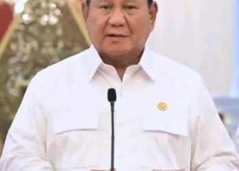 Presiden Prabowo Subianto Dorong UMKM Jadi Penggerak Ekonomi Nasional  