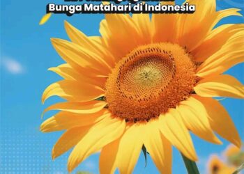 Bunga Matahari: Peluang Agribisnis Menjanjikan di Berbagai Sektor