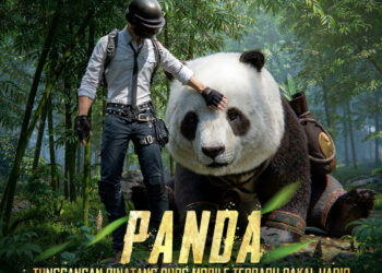 Panda Imut Jadi Bintang Baru di PUBG MOBILE: Mode Sacred Quartet Hadirkan Kekuatan Elemental!  