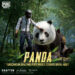 Panda Imut Jadi Bintang Baru di PUBG MOBILE: Mode Sacred Quartet Hadirkan Kekuatan Elemental!  