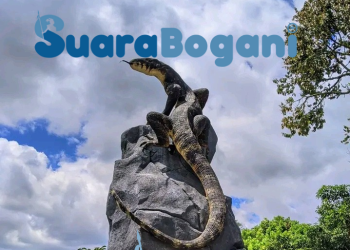 Viral..! Patung Biawak di Wonosobo, Netizen Bandingkan dengan Patung Gajah dan Penyu