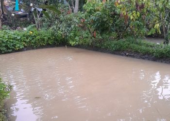 Diduga Ada Tambang Ilegal, Sungai Tungoi Satu Tercemar Parah!