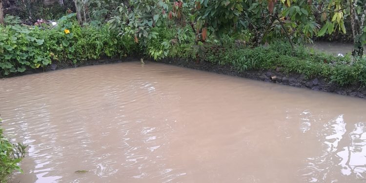 Diduga Ada Tambang Ilegal, Sungai Tungoi Satu Tercemar Parah!