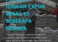 Sejumlah Negara Inginkan Ekspor Beras Dari Indonesia