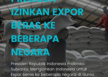 Sejumlah Negara Inginkan Ekspor Beras Dari Indonesia