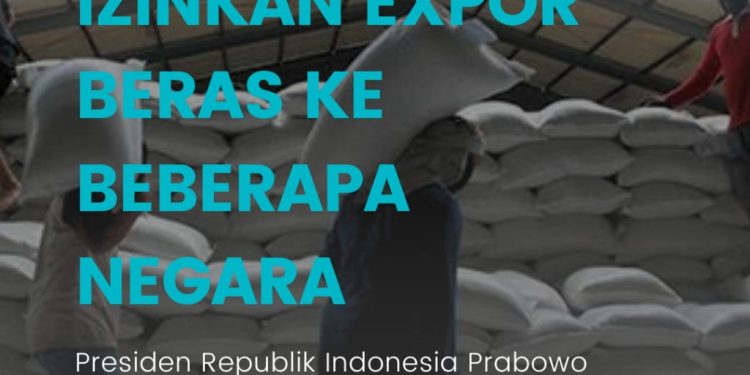 Sejumlah Negara Inginkan Ekspor Beras Dari Indonesia