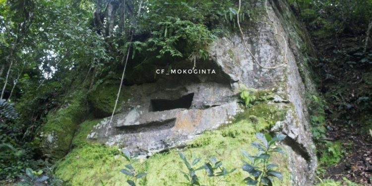 Jejak Kubur Tebing Sulawesi: Warisan Megalitik dari Toraut hingga Toraja