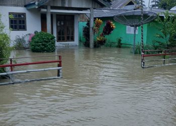 Banjir Rendam Desa Tungoi Bersatu, Warga Cemas Air Sungai Terus Naik