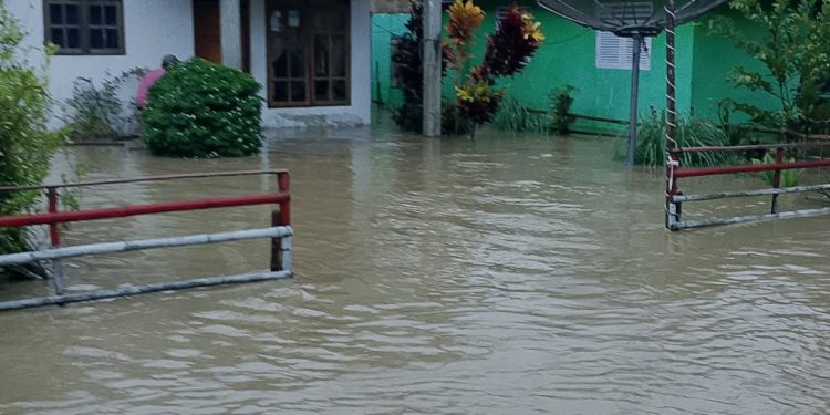 Banjir Rendam Desa Tungoi Bersatu, Warga Cemas Air Sungai Terus Naik