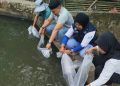 500 Ribu Benih Ikan Ditebar di Tungoi II, Sangadi: Terima Kasih kepada Bupati Dan Dinas Perikanan